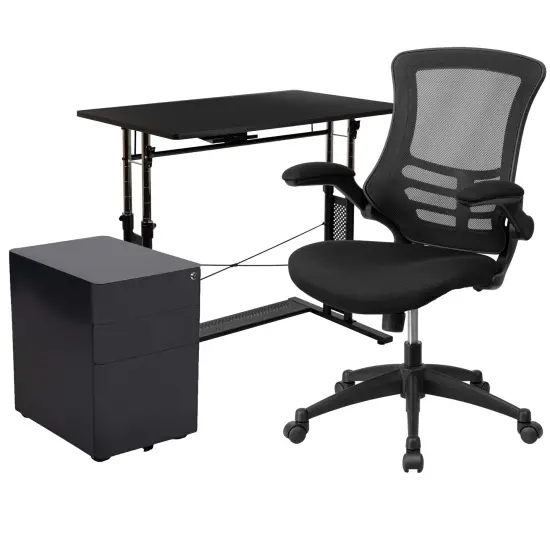 Emma and Oliver Work From Home Kit-Adjustable Desk, Ergonomic Mesh Office Chair, Filing Cabinet Black {1}