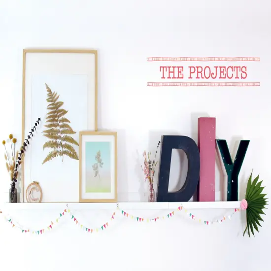 The Little Book of Flower Pressing: All the Basics Plus 11 Projects to Inspire You {5}