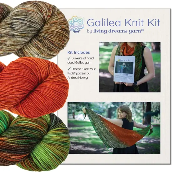 Living Dreams Yarn Galilea Shawl KNIT KIT. Includes Three Complementing Skeins of Hand Dyed Superwash Merino Yarn + Famous Free Your Fade Knitting Pattern. Gemini {4}