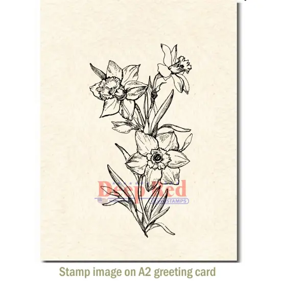 Deep Red Stamps Daffodils Rubber Cling Stamp2.25 x 4.1inches {3}