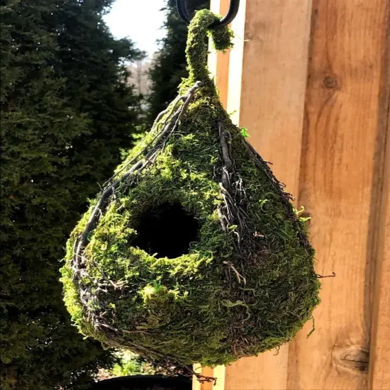 RAINDROP - Natural MOSS & Stick Birdhouse {1}
