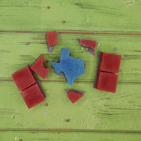 Texas Snap Out Center Wax Melt Snap Bar Silicone Mold {3}