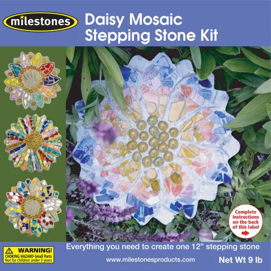 Milestones Mosaic Stepping Stone Kit-Daisy {1}