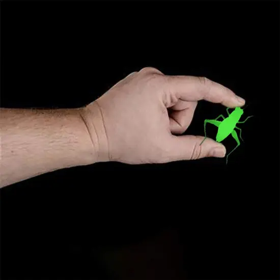 Rhode Island Novelty Glow in The Dark Ctter Assortment - 144 per Unit {2}