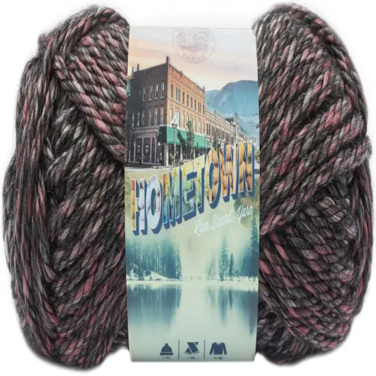 (12 Pack) Lion Brand Yarn Hometown Yarn, Salem Creek {3}