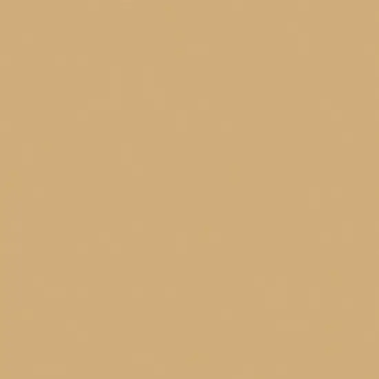 Multipack of 3 - Rit Dye Liquid 8oz-Tan {4}