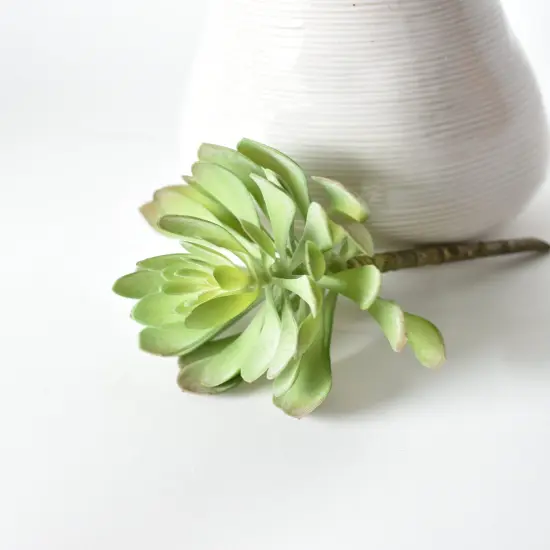6" Faux Soft Aeonium Succulent Pick {6}
