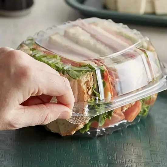 Clear Hinged Lid Plastic Food Container {3}