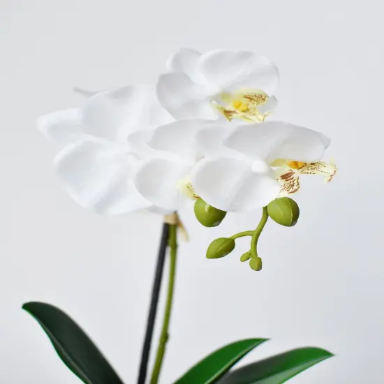 14" Faux Potted Orchid White {3}