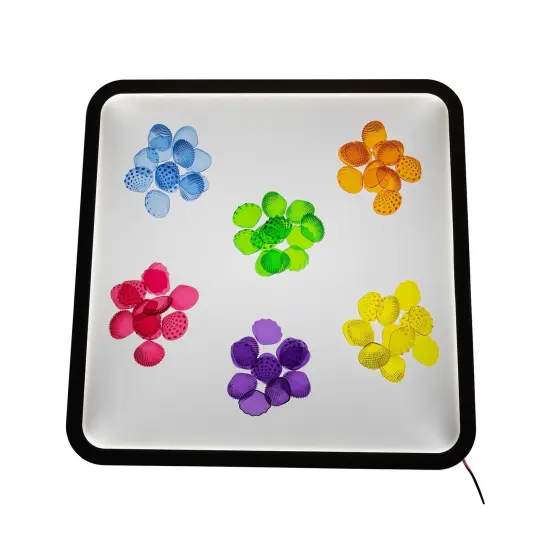 Tactile Shells - Transparent - Mini Jar - Set of 72 {5}