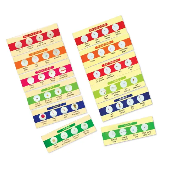 Prepared Slides Bundle: Set I & II, Pack of 12 {2}