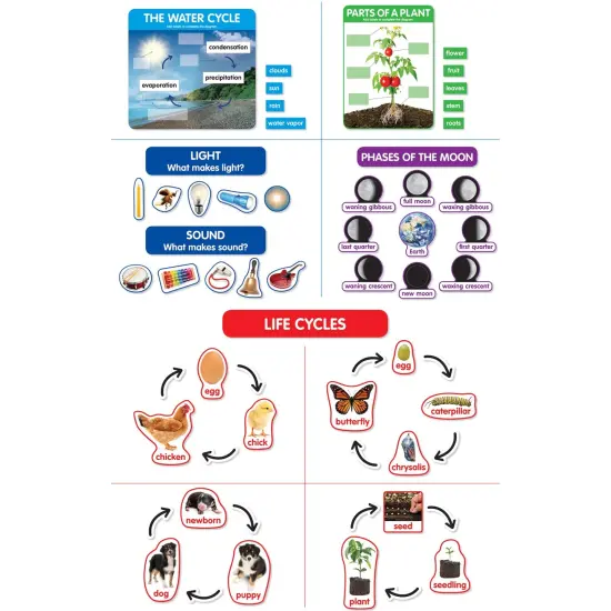 Early Science Concepts Bulletin Board Set {1}