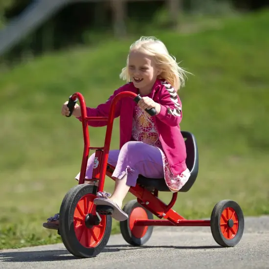 Viking Tricart Tricycle {2}
