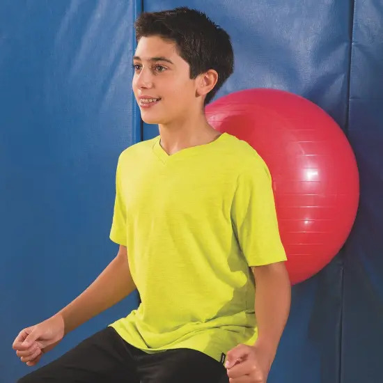 Exercise and Therapy Ball {4}