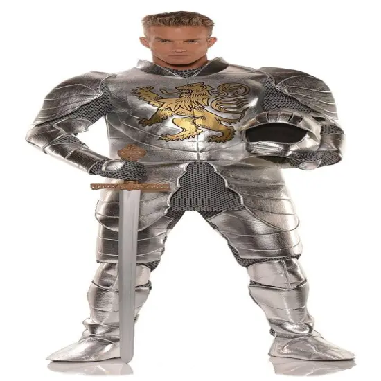 Knight in Shining Armor Adult Costume {1}