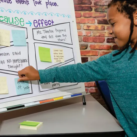 Heavy Duty Anchor Chart Paper, Non-Adhesive, White, Unruled 24" x 32", 25 Sheets {4}