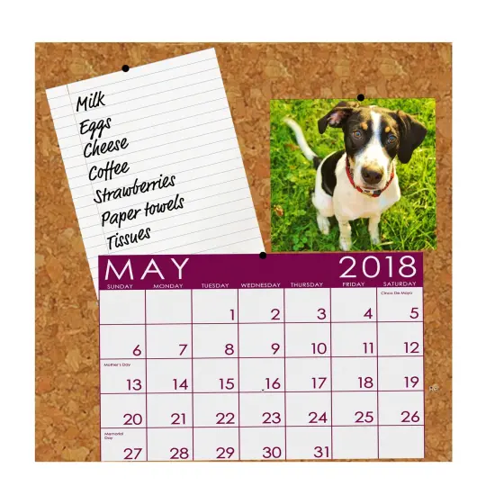 Natural Cork Tiles, 6" x 6", 4 Per Pack, 3 Packs {3}