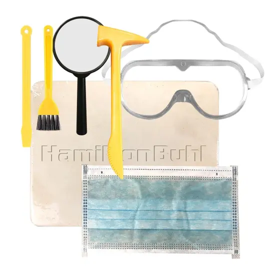 Paleo Hunter&trade; Dig Kit for STEAM Education - Tyrannosaurus Rex {3}