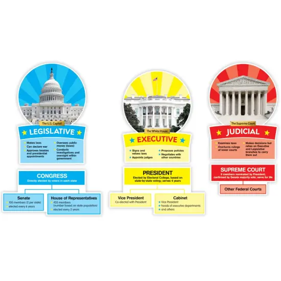 Our Government: Bulletin Board {3}