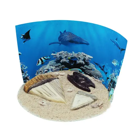 Extreme Sharks of the World - For Ages 6+ - Create and Customize Models and Dioramas - Study the Most Extreme Animals {6}