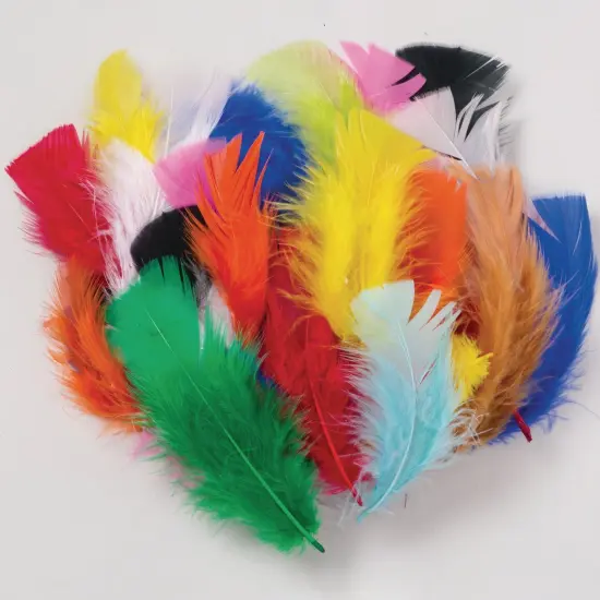 Turkey Plumage Feathers, Bright Hues Assorted, Assorted Sizes, 1 oz. Per Bag, 6 Bags {2}