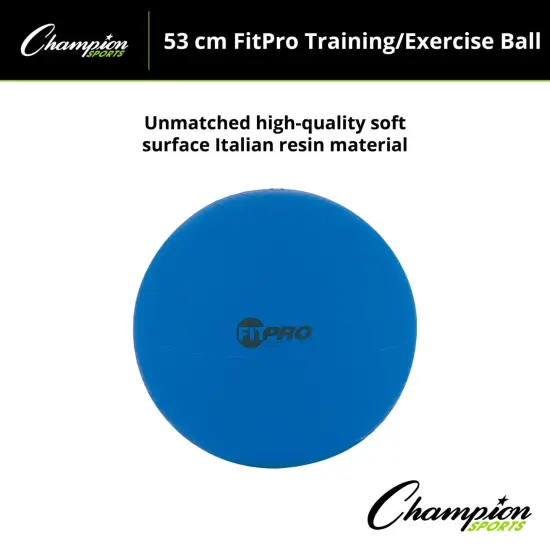 FitPro Training & Exercise Ball, 53cm, Blue {5}