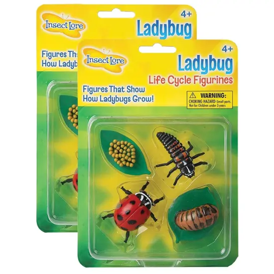 Ladybug Life Cycle Stages, 4 Per Set, 2 Sets {1}
