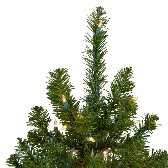Northlight Pre-Lit Medium Canadian Pine Artificial Christmas Tree - 6' - Clear Lights Green {4}
