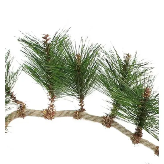Napco Long Needle Pine and Rope Rustic Artificial Christmas Garland - 6' x 5" - Unlit Green {4}