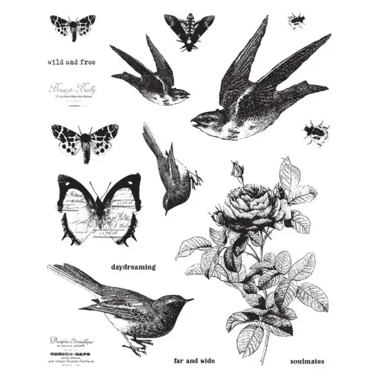 Prima Marketing Inc Finnabair 6x7.5 Cling Stamp Wild And Free - 17 Pcs - Sz 6Inx7.5In 655350967048 {1}
