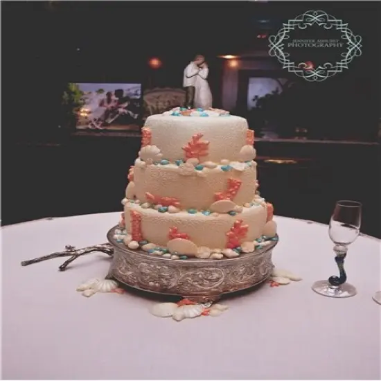 Cornelli Lace Cake Stencil | C752 by Designer Stencils | Cake Decorating Tools | Baking Stencils for Royal Icing, Airbrush, Dusting Powder | Reusable Plastic Food Grade Stencil for Cakes | Easy to Use & Clean Cake Stencil {3}