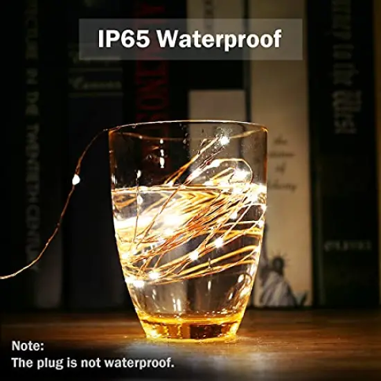 Lighting EVER Plug in Fairy Lights with Switch 66 ft 200 LED String Lights, Warm White Copper Wire Lights Waterproof Indoor Outdoor Decorative Fairy Lights for Bedroom, Patio, Garden, Balcony, Dorm {5}