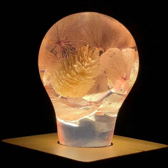 EP LIGHT 3 Pack Flower Bulbs {6}