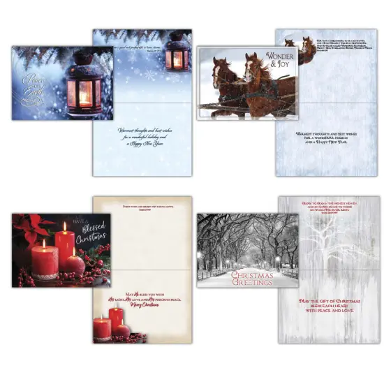 Large Boxed Christmas Card Assortment- Wonder and Joy - 24 cards and envelopes {2}