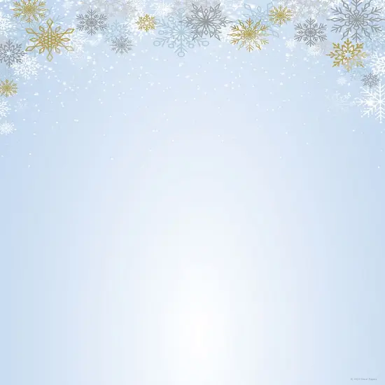 Great Papers! Foil Snowy Day Letterhead, for Invitations, Announcements and Personal Messages, Printer Friendly 8.5" x 11", 25 Pack (2023049) {1}
