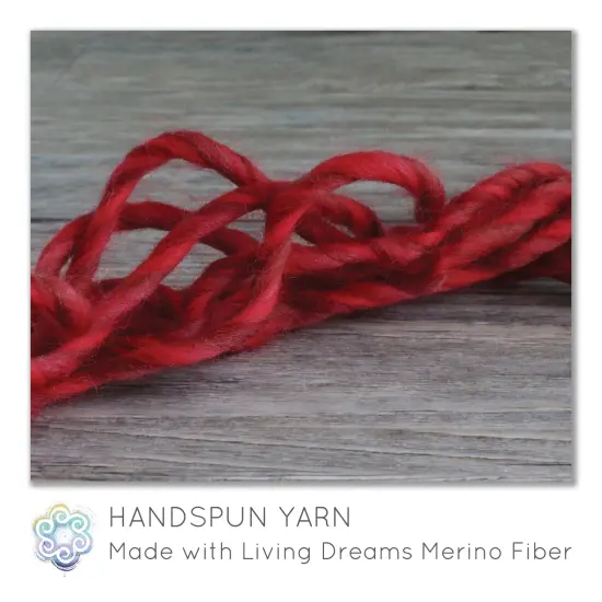 100% Merino Wool Roving. Soft Colorful Combed Top Roving for Felting, Spinning, Fiber Arts. Guns & Roses {2}