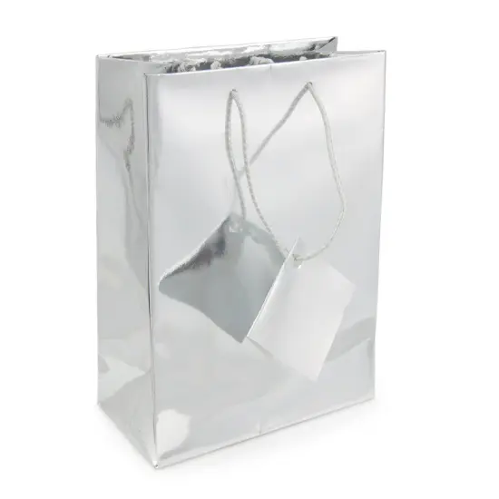 Gift Bag Medium Metallic Silver (Package of 20) {1}