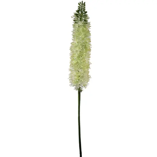 Green Foxtail Spray - 6-Pack, Silk Flowers, Lifelike Greenery, Ideal for Floral Arrangements, Home & Event D&eacute;cor - Perfect for All Seasons, Floral Home by Artificial Flowers {1}