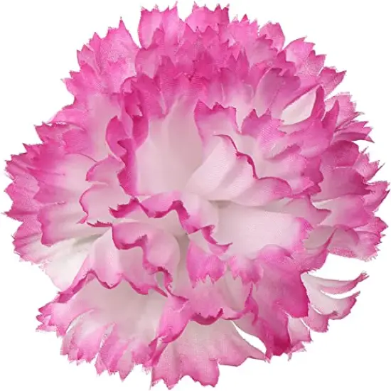 100-Pack: White & Pink Carnation Picks, 5" Long, 3.5" Wide by Floral Home&reg; {1}