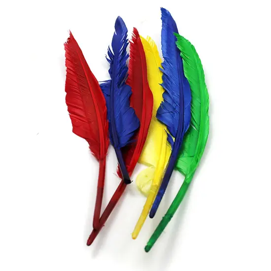 Quill Feathers, 10" & 12", 6 Per Pack, 12 Packs {1}