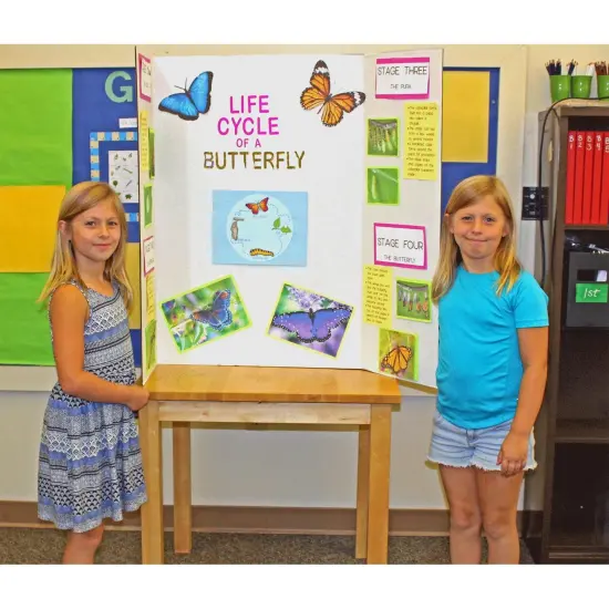 Project Board, 1 Ply, 36"W x 48"L, White, Pack of 24 {2}