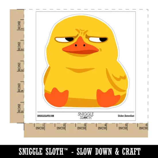 Suspicious Duck Bombastic Side Eye Waterproof Vinyl Phone Tablet Laptop Water Bottle Sticker Set - 5 Pack {1}