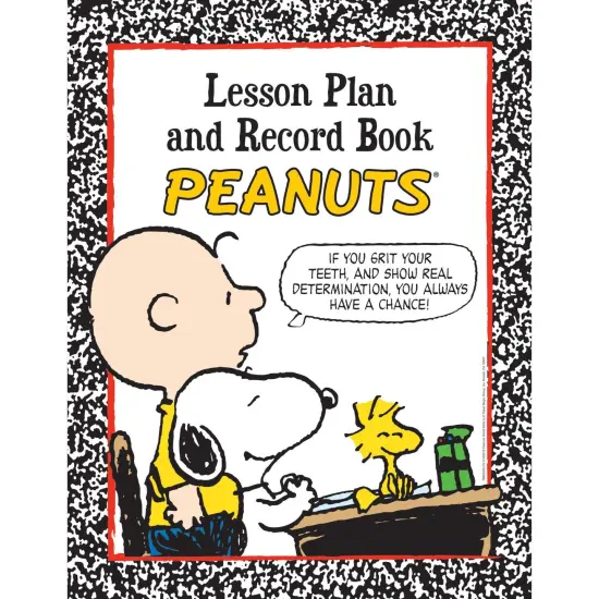Peanuts&reg; Lesson Plan & Record Book, Pack of 2 {2}