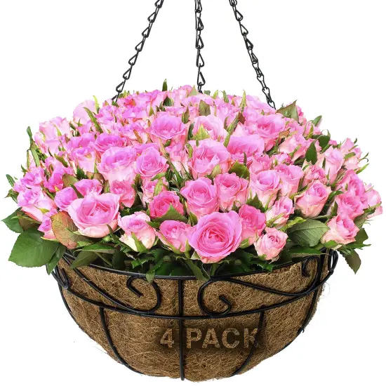 Sorbus 4-Pack Hanging Planter Baskets W/Coco Liner - for Garden D&Atilde;&copy;cor, Perfect for Home, Garden, Patio, Deck {4}