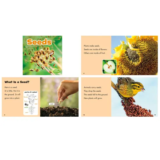 Plant Parts, Set of 6 books {6}