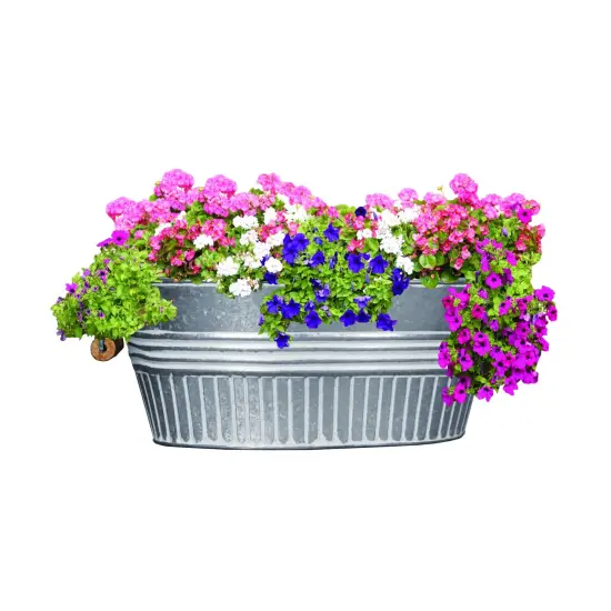 Headwind 14" Galvanized Basin Tub - Oval with White Wash Design, Handles and Drain Holes {5}