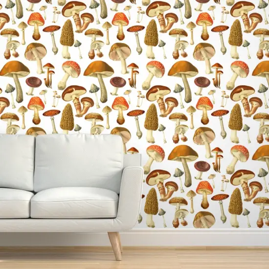 Pre-Pasted Wallpaper 2FT Wide Vintage Botanical Botanicals Mushrooms Illustration Nature Art Natural Science Custom Pre-pasted Wallpaper by Spoonflower {5}