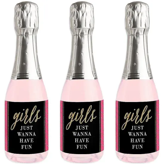 Big Dot of Happiness Girls Night Out - Mini Wine and Champagne Bottle Label Stickers - Bachelorette Party Favor Gift for Women and Men - Set of 16 {1}