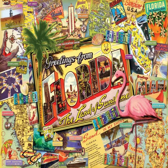 Sunsout Florida 1000 pc Jigsaw Puzzle 70021 {4}