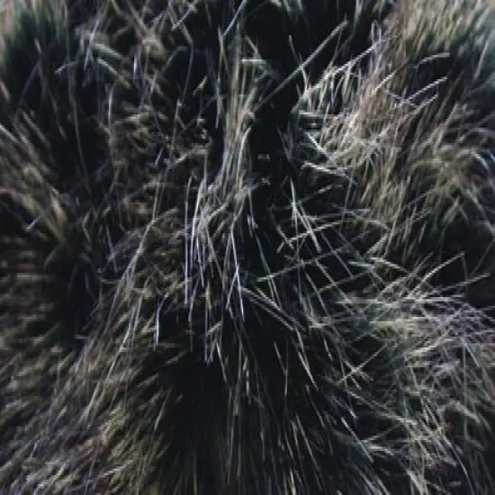 Bernat Faux Fur Pompom 1/Pkg {3}